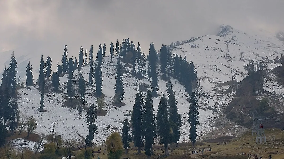 Gulmarg mountainside with pine trees, light early snow and gondola cables under a grey October sky
