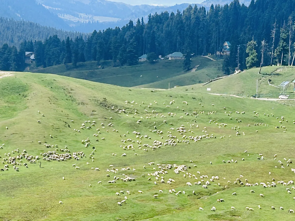 Open meadow and hills at Gulmarg, Kashmir, the day-trip destination above Tangmarg