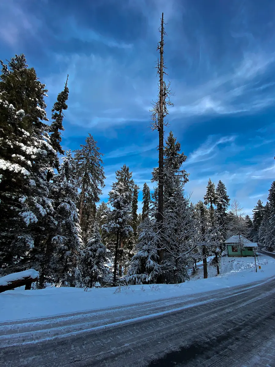 Snow-bound road toward Gulmarg in winter, December 2020