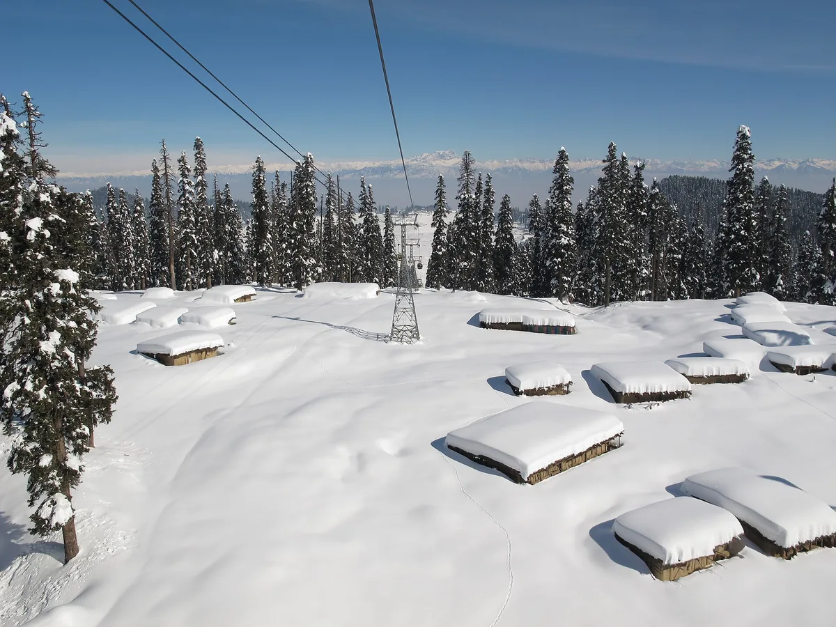 View of snow-covered woods from a Gulmarg Gondola cabin in Jammu and Kashmir