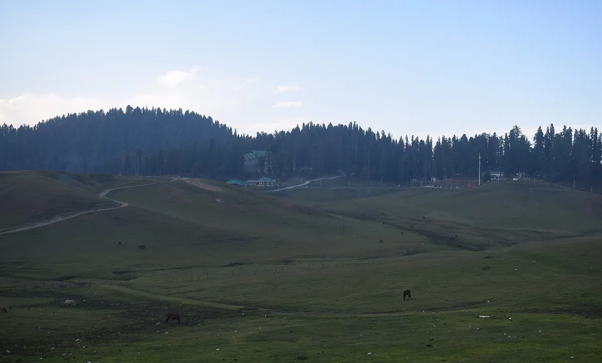 Gulmarg meadows with grazing horses and a pine forest behind, photographed in mid-October 2024