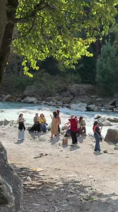 Guests spread out along a wide stony riverbank in the shade of a tree, with the river running fast behind them and pine trees beyond