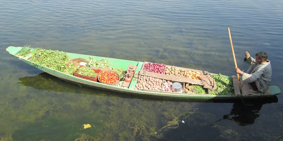 A vegetable seller rowing a green shikara on Dal Lake, the boat filled with tomatoes, potatoes, onions, beans and leafy greens
