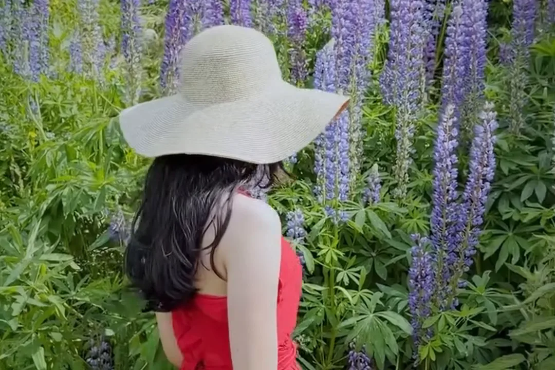 Our guest in a red dress and white sun hat standing among tall purple lupin flowers in Gulmarg