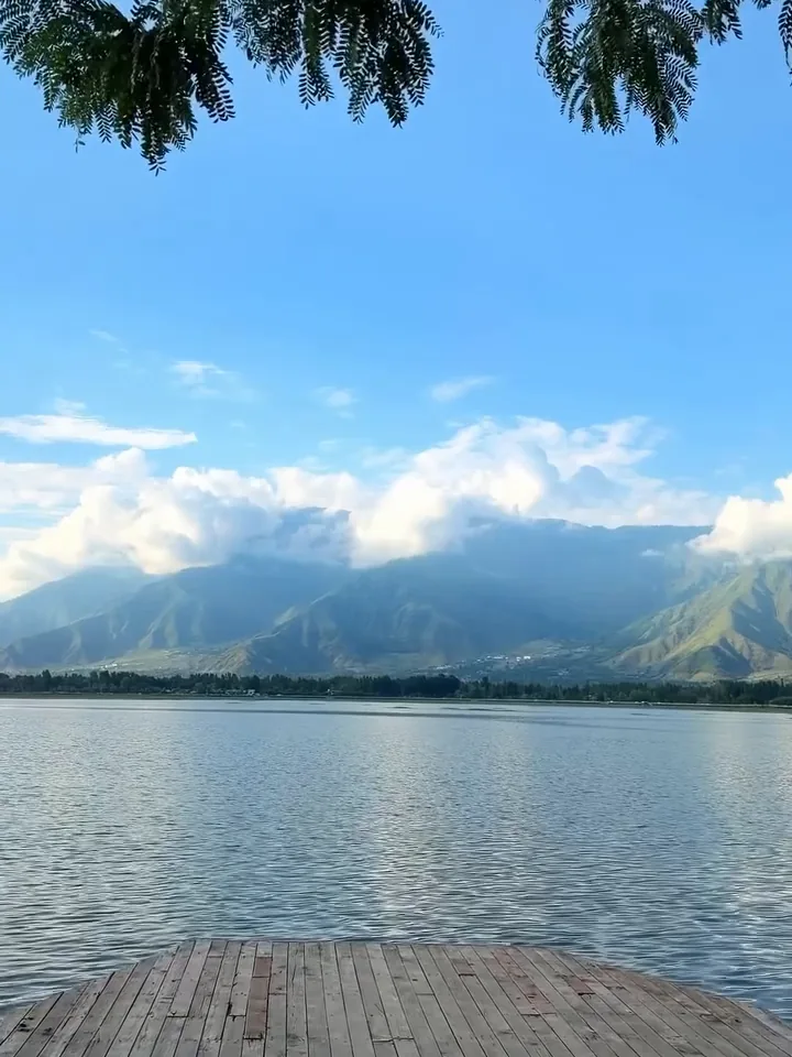 Leafy tree branches hanging over a wooden jetty on Dal Lake, with calm water and mountains under white clouds