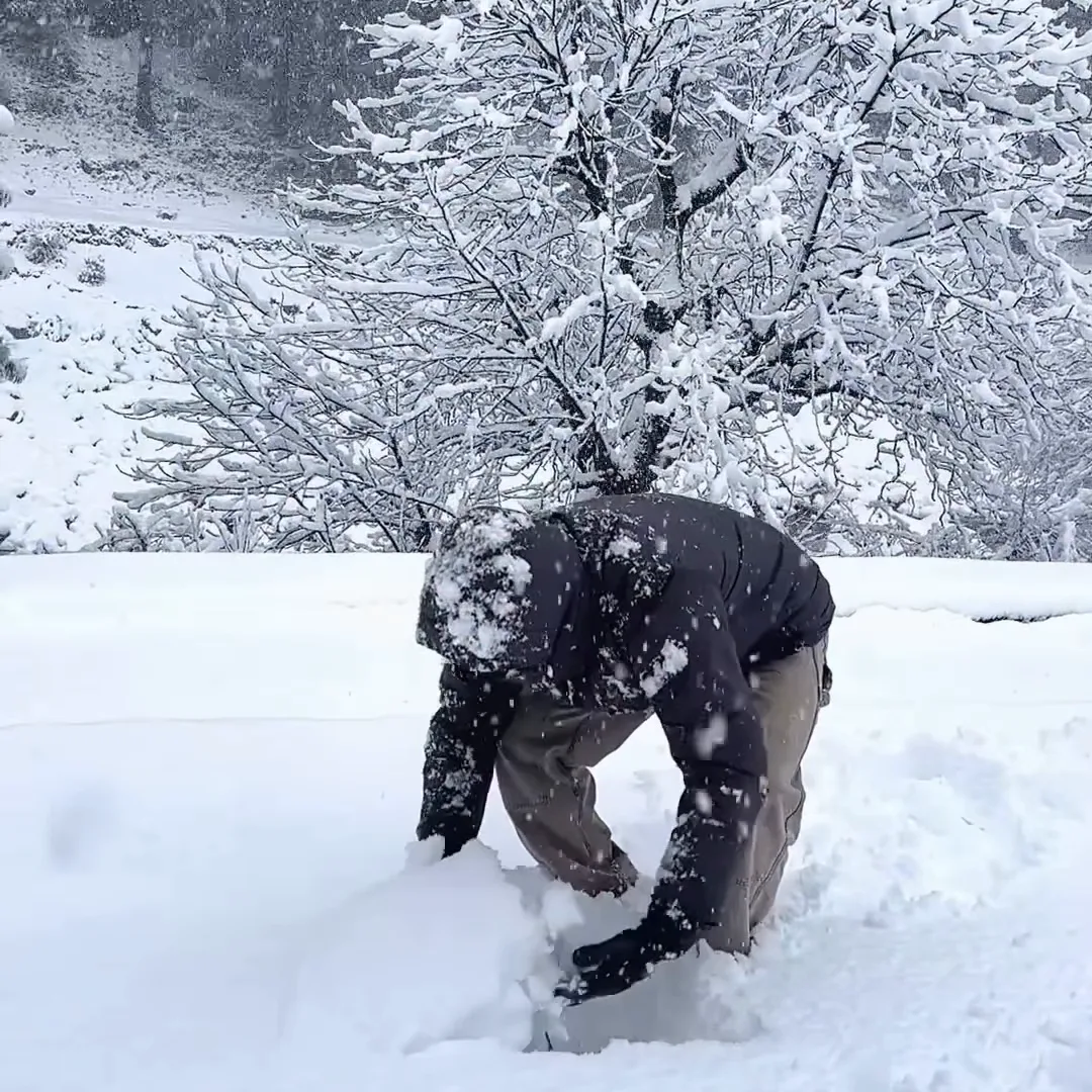 Zahid, founder of Travel Etios Kashmir, bending into knee-deep snow in front of snow-covered trees in Pahalgam in January