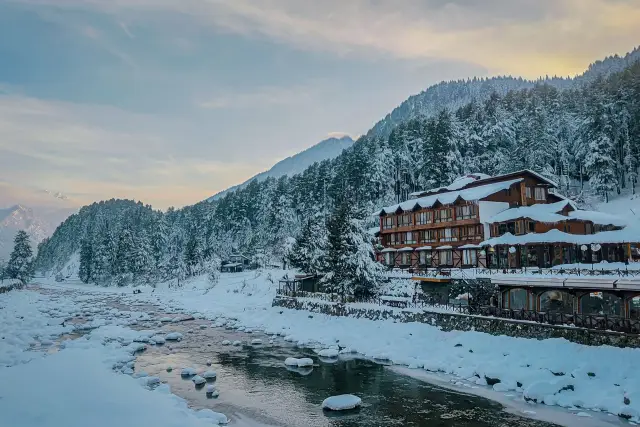 Snow-covered pine valley and stream on the Sonmarg route