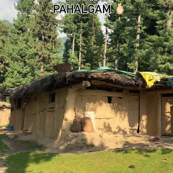 Village walk in the pine meadows of Pahalgam