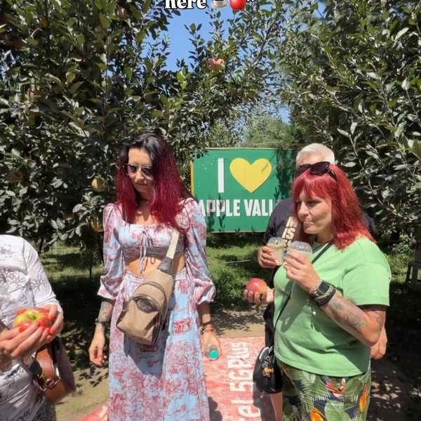 Coffee in a Kashmir apple orchard