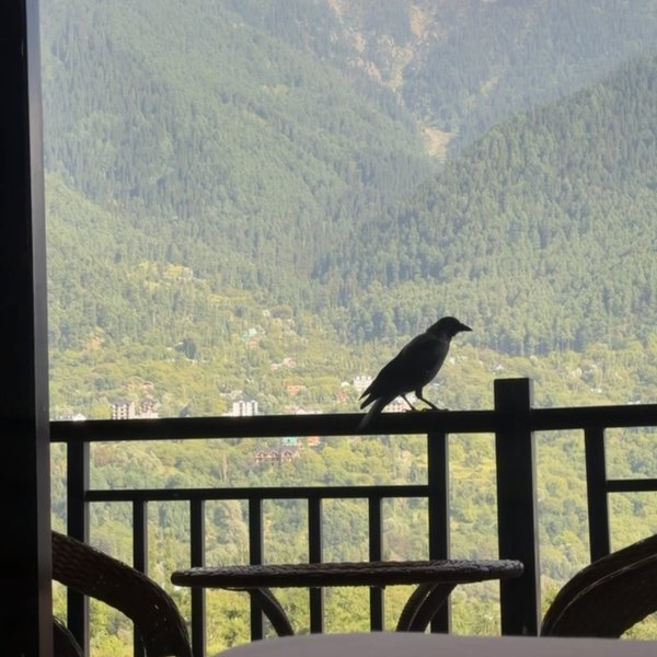 Mountain view stay in Pahalgam