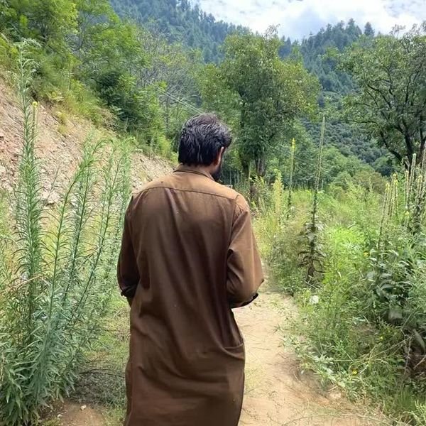 Riverside stay with a pool in Kashmir