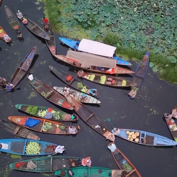 Floating vegetable market on Dal Lake at sunrise