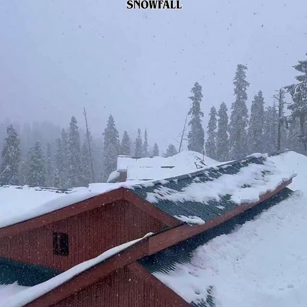 Fresh snowfall in Sonamarg