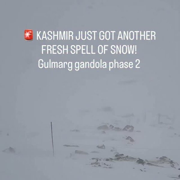 Fresh snowfall at Gulmarg Gondola Phase 2
